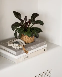 Architectural Digest at 100|Hachette Book Group Hot