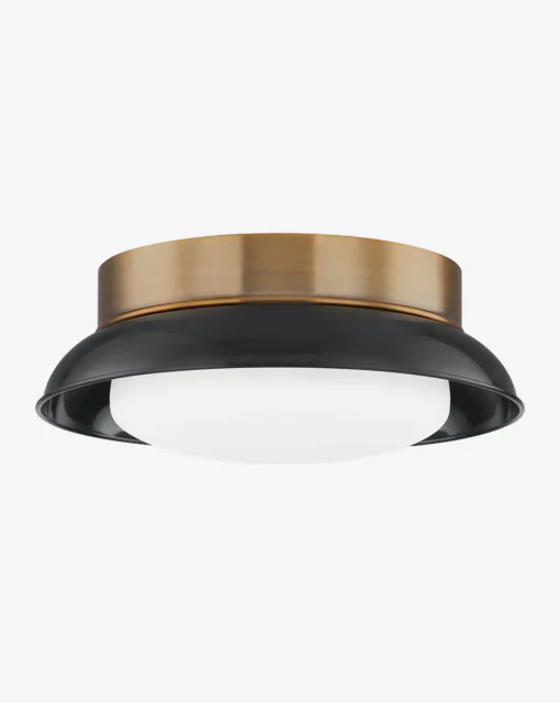 Arnie Flush Mount|Troy Lighting Hot