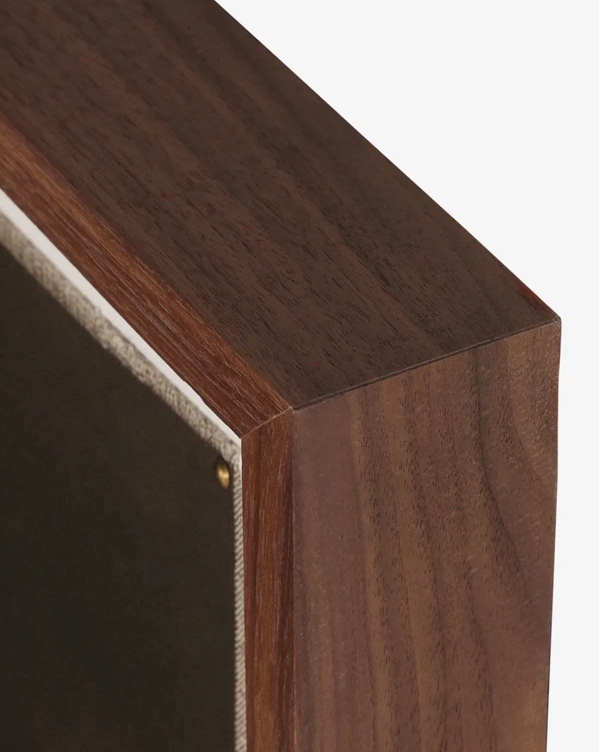 Bloom II by Brittney Schulz|Four Hands Best