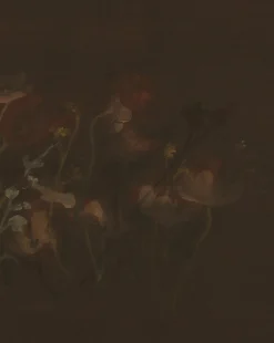 Bloom II by Brittney Schulz|Four Hands Best