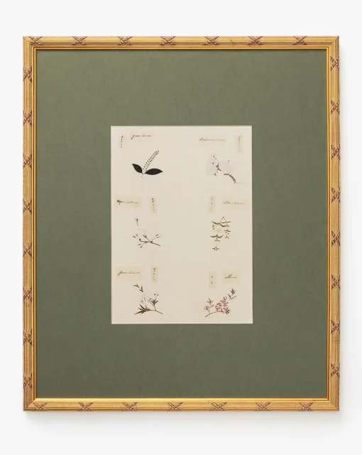 Botanical Grid 2|Art Headquarters, LLC DBA Wendover Art Group DBA Kevin O'Brien Studio New