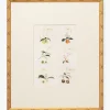 Botanical Grid 1|Art Headquarters, LLC DBA Wendover Art Group DBA Kevin O'Brien Studio Clearance