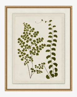 Botanical Pressings III|Art Headquarters, LLC DBA Wendover Art Group DBA Kevin O'Brien Studio New
