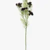 Burgundy Cosmos Stem|Abigail Ahern Ltd Outlet