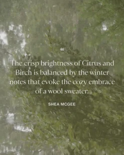 Citrus & Birch Hand Lotion|Linnea's Lights Online