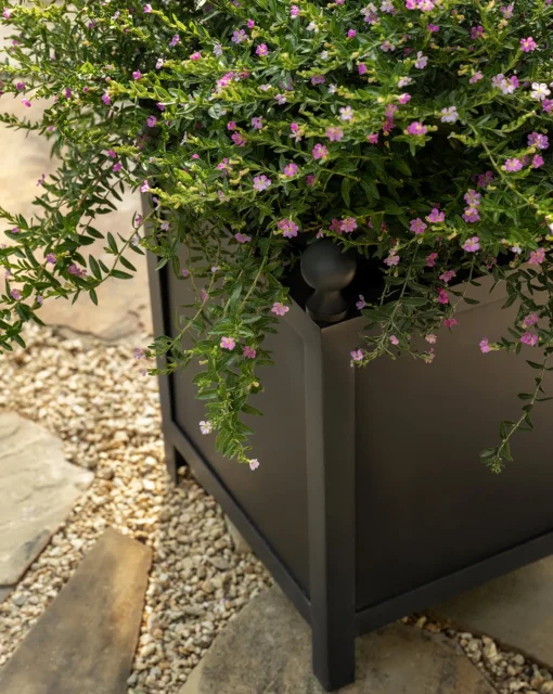 Clariance Planter|Nawab Regency Discount