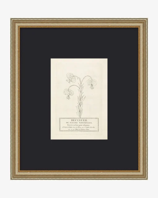 Collection Of French Flowers|Art Headquarters, LLC DBA Wendover Art Group DBA Kevin O'Brien Studio Sale