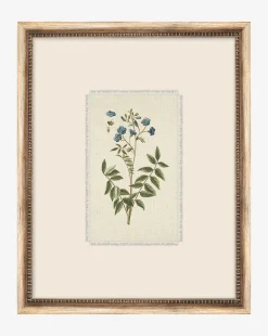 Delicate Floral l|Art Headquarters, LLC DBA Wendover Art Group DBA Kevin O'Brien Studio Discount