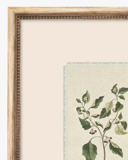 Delicate Floral lll|Art Headquarters, LLC DBA Wendover Art Group DBA Kevin O'Brien Studio Sale