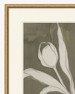 Delicate Tulip I by Rebekah Webb|Art Headquarters, LLC DBA Wendover Art Group DBA Kevin O'Brien Studio