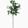 Faux Laurel Leaf Branch|UCP INTERNATIONAL COMPANY LIMITED Clearance