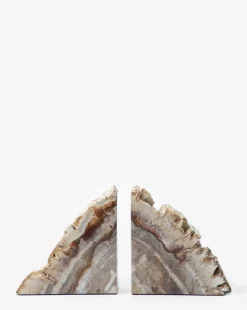 Fossilized Wood Bookends (Set of 2)|Four Hands Online