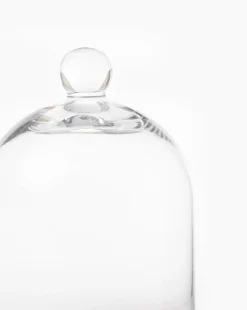 Glass Cloche|HomArt Online