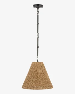 Goodman Pendant|Visual Comfort & Co. Signature Best