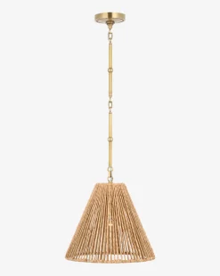Goodman Pendant|Visual Comfort & Co. Signature Best