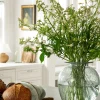 Gretchen Vase|Transparent Overseas Outlet