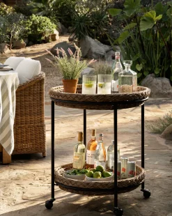 Haviland Bar Cart|Makerspalm Best