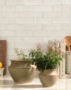 Liora Pot|HomArt