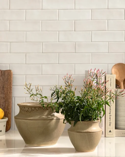 Liora Pot|HomArt