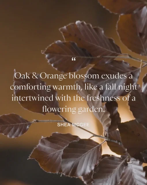 Oak & Orange Blossom Hand Wash|Linnea's Lights