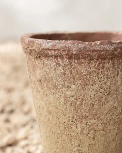 Oksana Distressed Cement Planter|Creative Co-op Hot