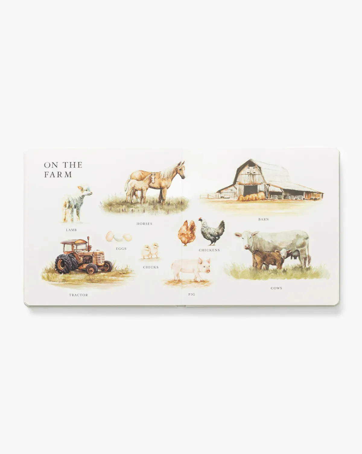 Our Big Book of First Words|Penguin Random House Online