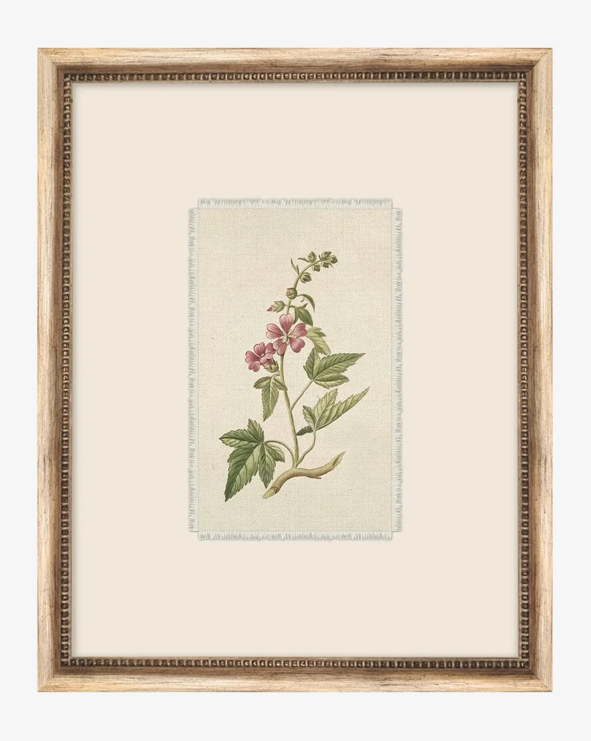 Petite Floral III|Art Headquarters, LLC DBA Wendover Art Group DBA Kevin O'Brien Studio Hot