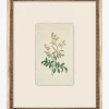 Petite Floral IX|Art Headquarters, LLC DBA Wendover Art Group DBA Kevin O'Brien Studio Sale