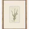 Petite Floral VI|Art Headquarters, LLC DBA Wendover Art Group DBA Kevin O'Brien Studio Hot