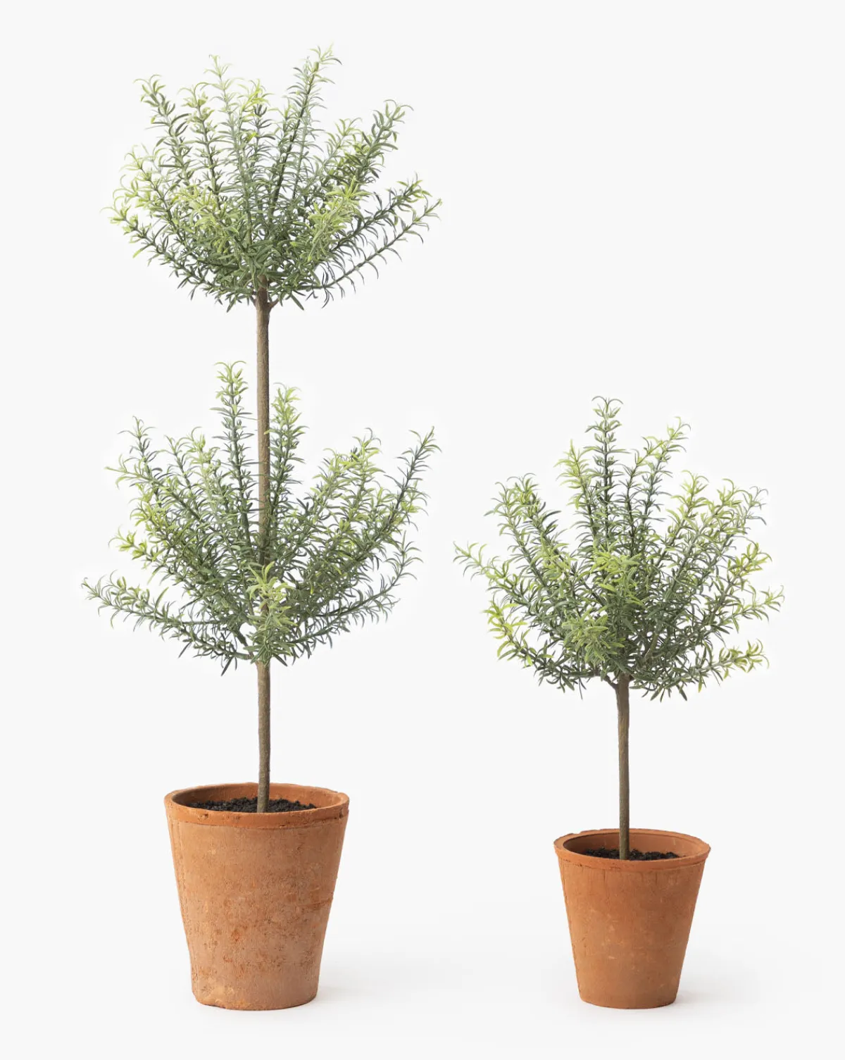 Potted Faux Rosemary Topiary|UCP INTERNATIONAL COMPANY LIMITED Sale
