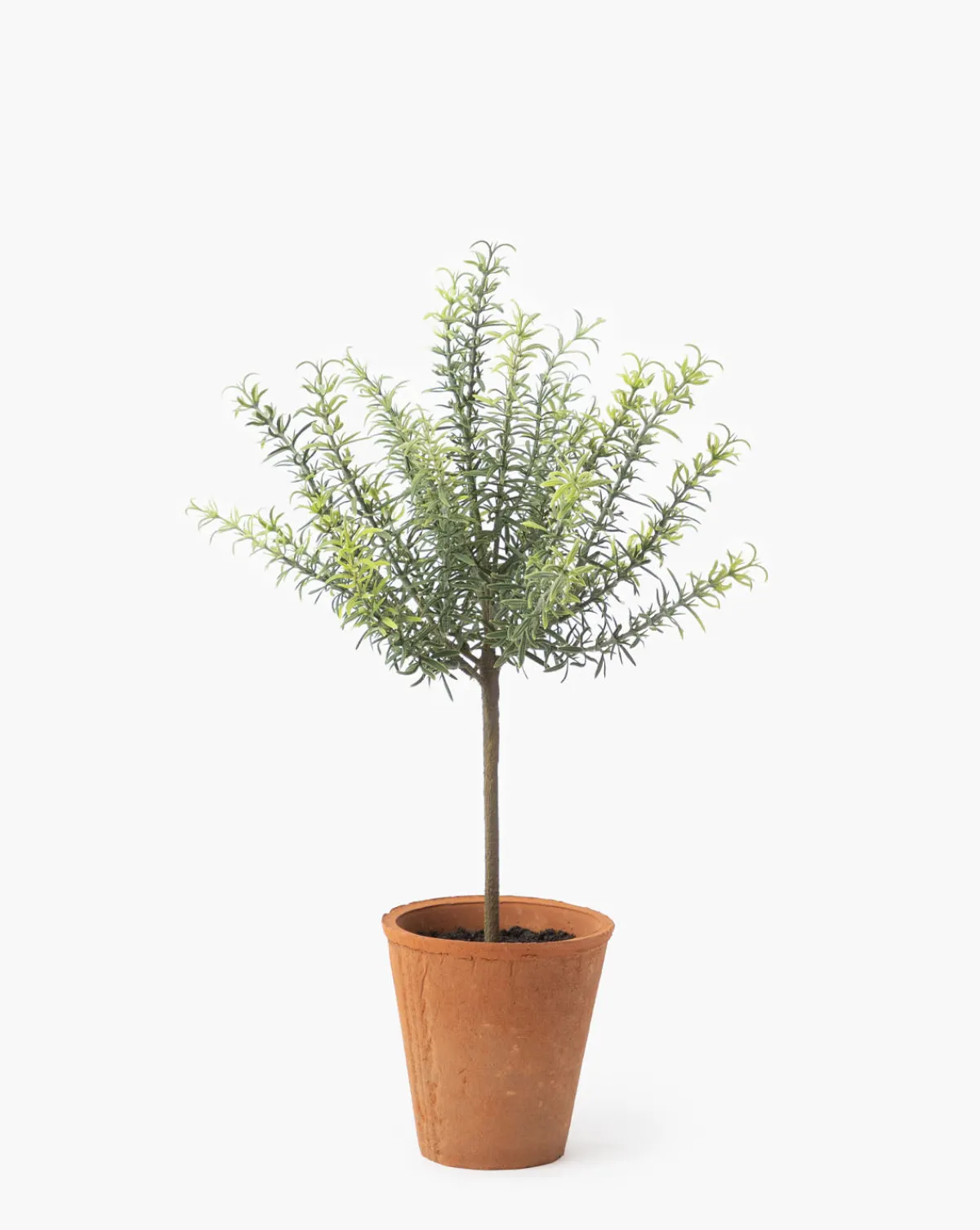 Potted Faux Rosemary Topiary|UCP INTERNATIONAL COMPANY LIMITED Sale
