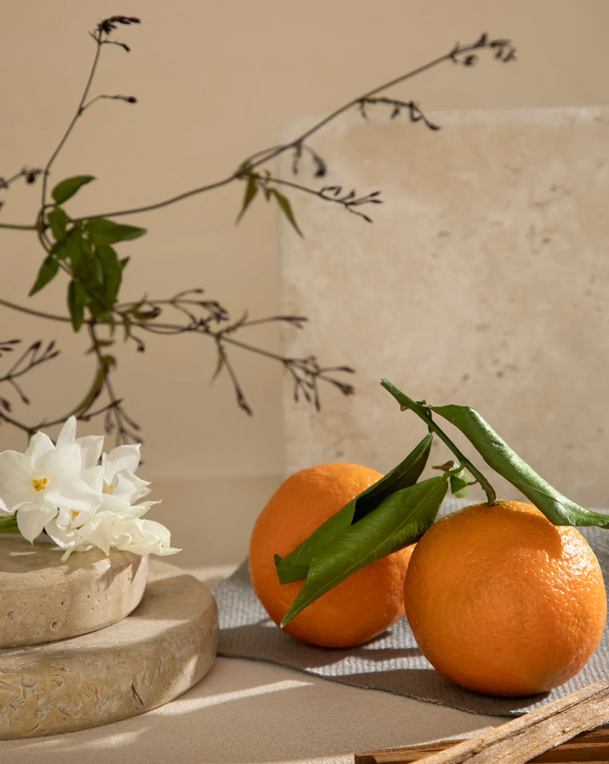 Pura x Studio McGee Jasmine Honeysuckle Home Fragrance Refill|Pura Scents Sale