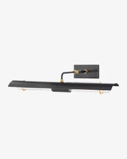 Raelynn Picture Light|Hudson Valley Lighting Discount