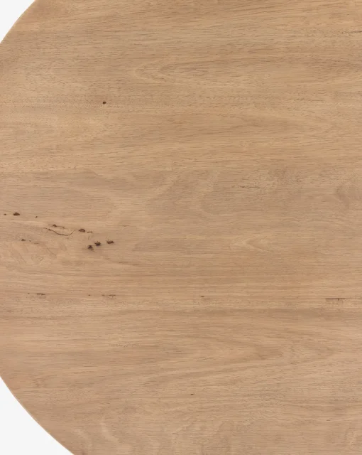 Rhianne Coffee Table|Four Hands Outlet
