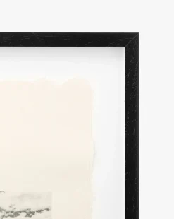 Santa Cruz|Visual Contrast Discount