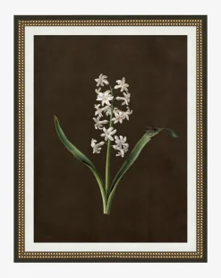 Sepia Sprouts I|Art Headquarters, LLC DBA Wendover Art Group DBA Kevin O'Brien Studio Discount