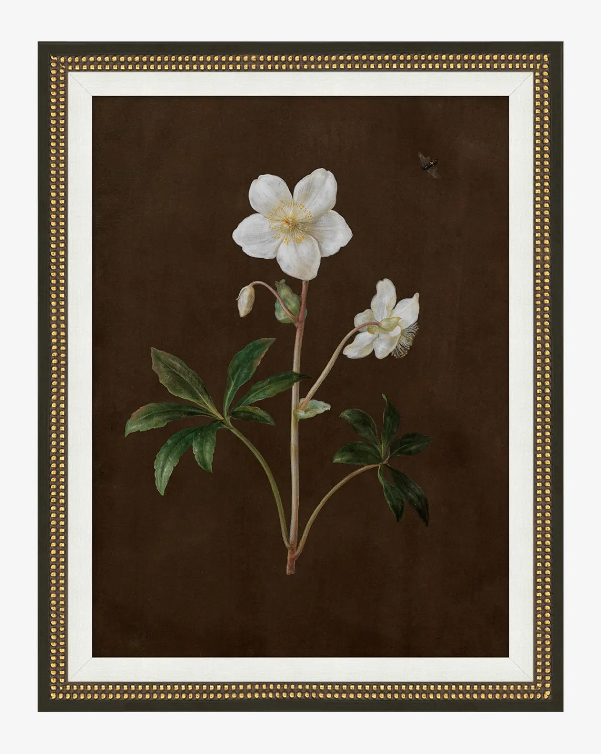 Sepia Sprouts II|Art Headquarters, LLC DBA Wendover Art Group DBA Kevin O'Brien Studio Sale