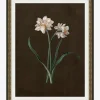 Sepia Sprouts III|Art Headquarters, LLC DBA Wendover Art Group DBA Kevin O'Brien Studio Clearance