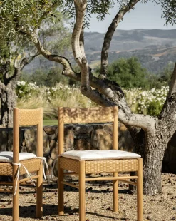 Simeon Outdoor Dining Chair|Makerspalm New