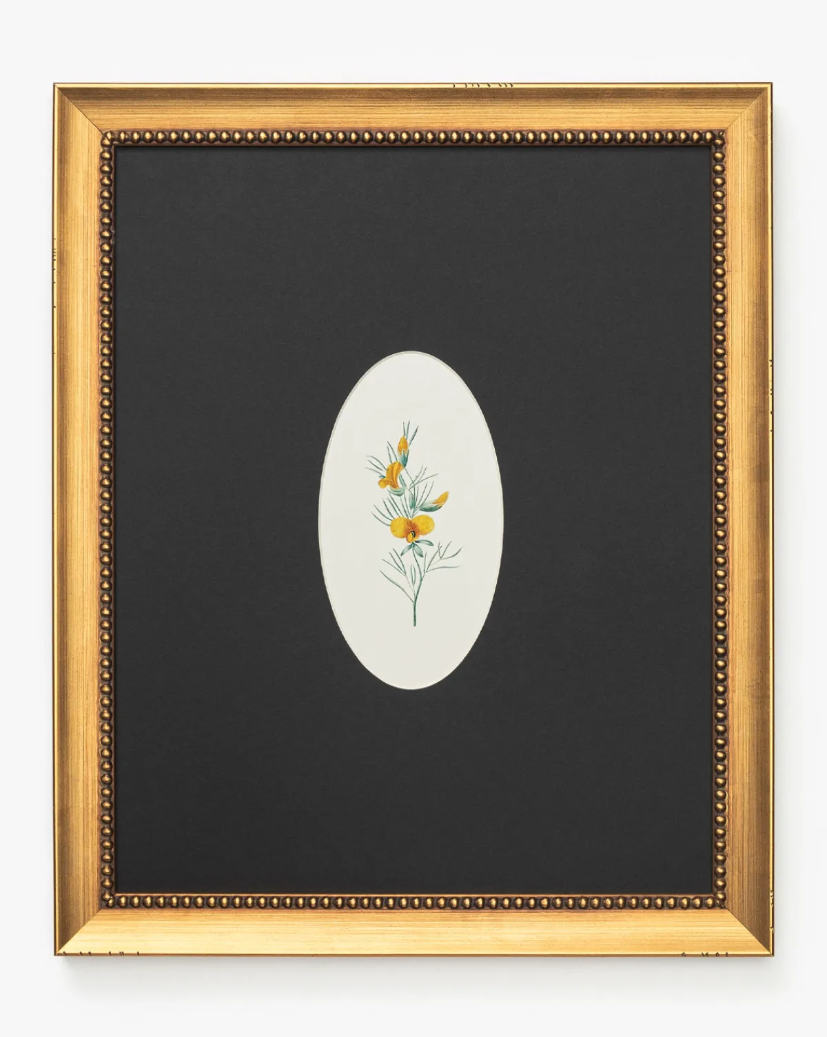 Single Blooms 1|Art Headquarters, LLC DBA Wendover Art Group DBA Kevin O'Brien Studio Clearance