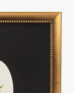 Single Blooms 1|Art Headquarters, LLC DBA Wendover Art Group DBA Kevin O'Brien Studio Clearance