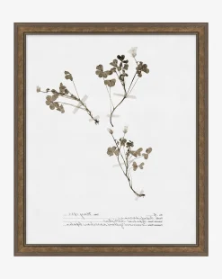 Subdued Botanicals I|Art Headquarters, LLC DBA Wendover Art Group DBA Kevin O'Brien Studio Best