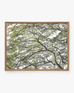 Treetops|Art Headquarters, LLC DBA Wendover Art Group DBA Kevin O'Brien Studio Hot