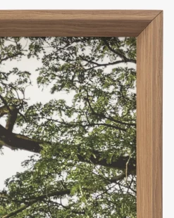 Treetops|Art Headquarters, LLC DBA Wendover Art Group DBA Kevin O'Brien Studio Hot