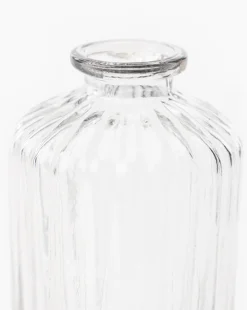 Verlice Glass Cylinder Vase|Transparent Overseas Discount