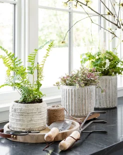 Whitewashed Ridge Pot|Napa Home & Garden Hot
