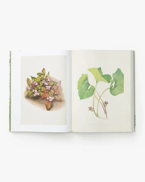 Wild Flowers of North America|Penguin Random House Online