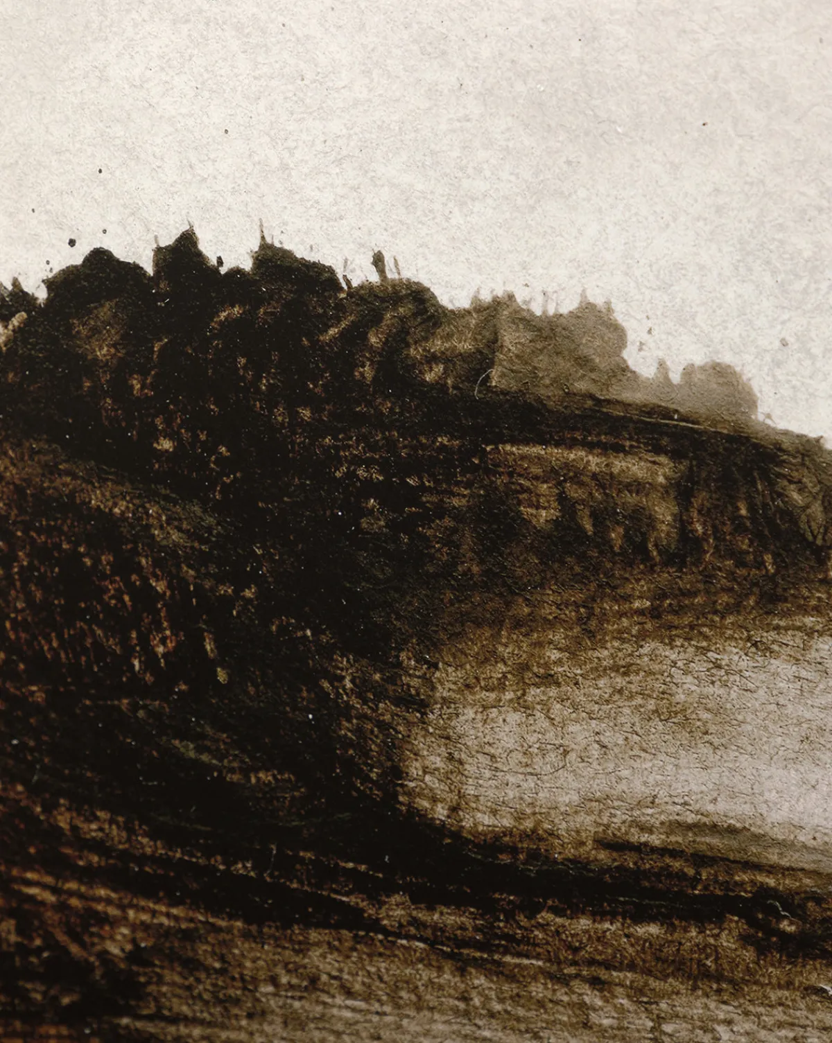 Woodbury by Dan Hobday|Four Hands Best